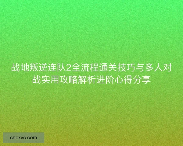 战地叛逆连队2全流程通关技巧与多人对战实用攻略解析进阶心得分享