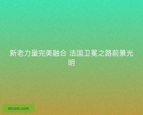 新老力量完美融合 法国卫冕之路前景光明